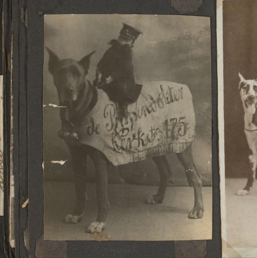 Dog with advertising sign for the Puppet Doctor with a police puppet on its back
