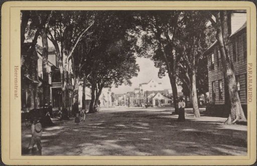 Heerenstraat in Paramaribo with trees and passers-by