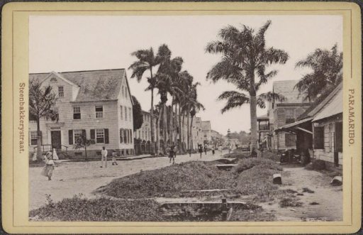 Steenbakkerijstraat in Paramaribo with palms and passers-by