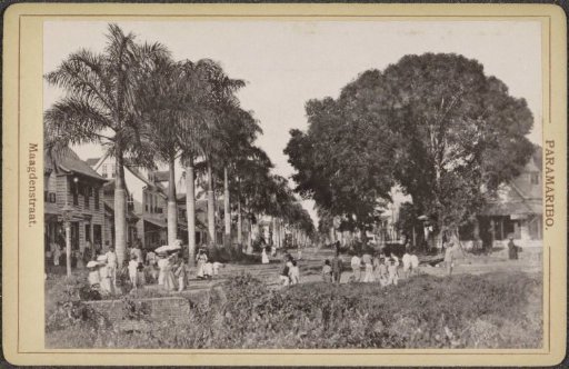 Maagdenstraat in Paramaribo with trees and passers-by