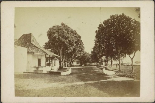 Road near the residence in Ternate