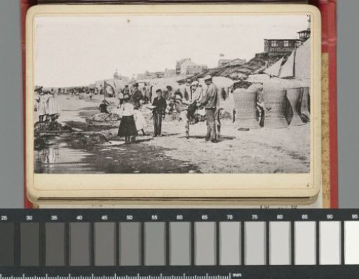 People and a donkey on the beach at Zandvoort