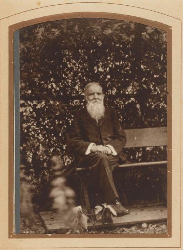 Portrait of a bearded man sitting on a bench