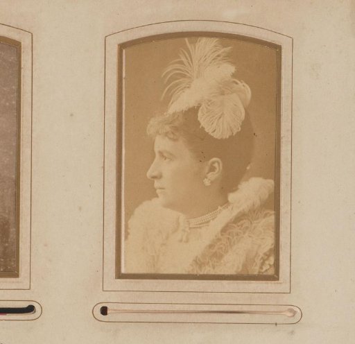 Portrait of a Woman with Feathers in Her Hair