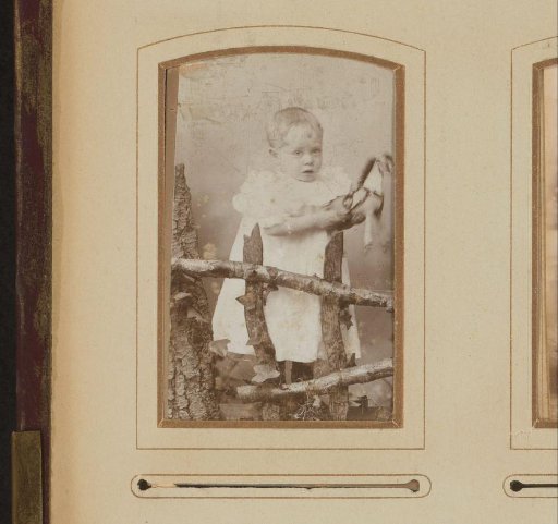 Portrait of a toddler with a toy horse in hand