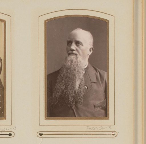 Portrait of a man with a long grey beard