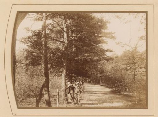 Two men on a forest path