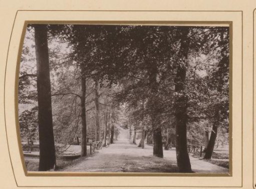 View of the Haagse Bos