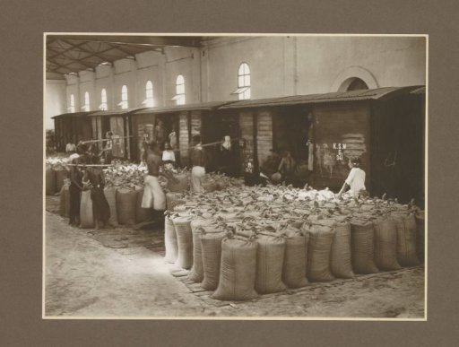 Workers in a packing shed of the Boedoeran sugar factory in Sidoarjo, Java