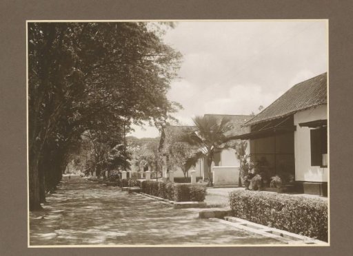 Avenue with houses for workers of the Ngandjoek sugar factory on Java
