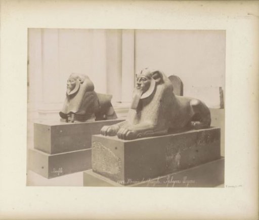 Two sphinxes in the museum of Giza
