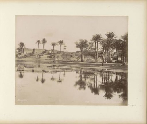 Village with palms on a waterway near Cairo