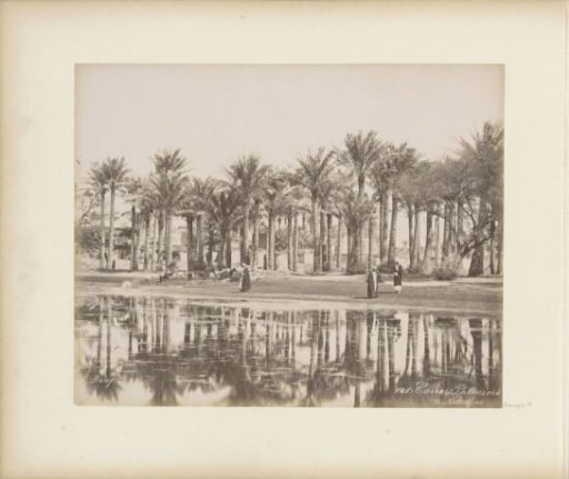 Men with a herd under the palms in Bedrechen near Cairo
