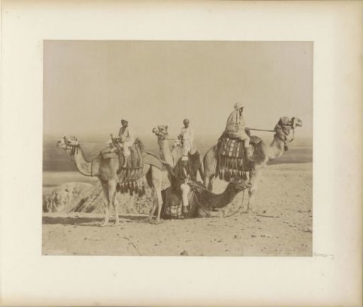 Riders on camels in an Egyptian desert