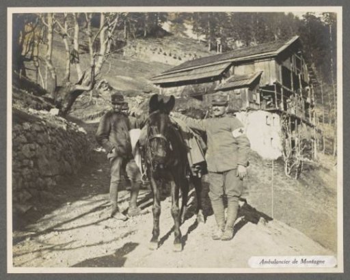 Presumably Italian soldiers at a mule ambulance in the mountains