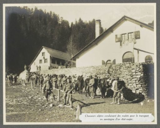 Alpine hunters escorting mules during the transport of military staff, presumably Italian