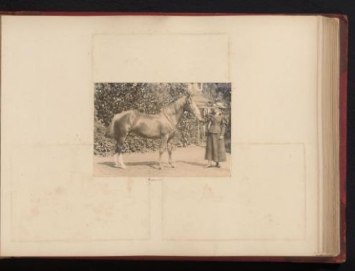 Portrait of a woman with a horse, designated as Rusholme