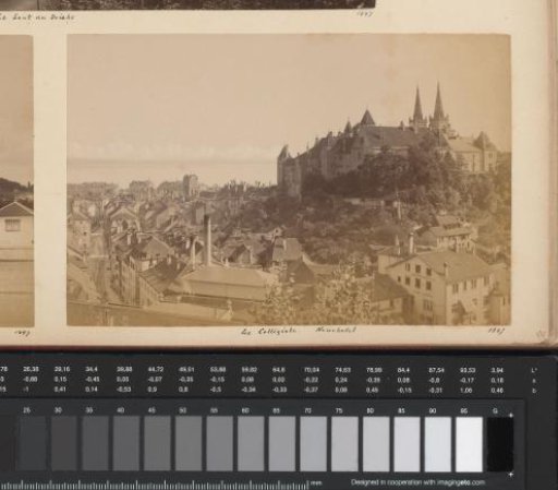 View of Neuchâtel with the collegiate church