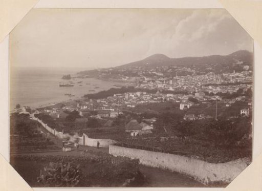 View of the city of Funchal and a bay with ships