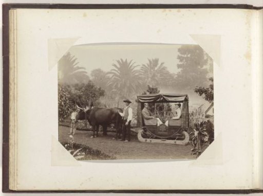 European couple in an ox-drawn cart with runners (sledges) on Madeira