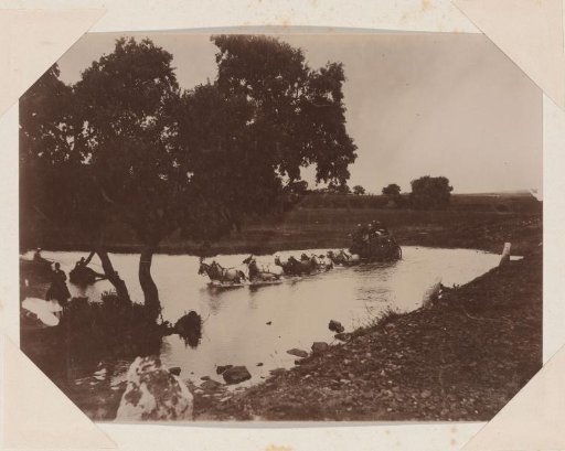 Carriage with ten horses driving through water in Six-Mile Spruit in South Africa