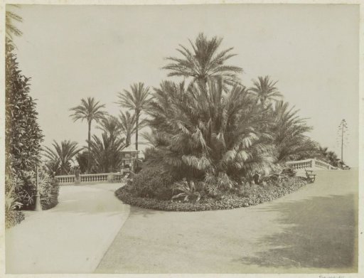 Gardens at the Monte Carlo Casino