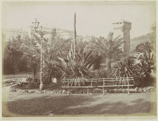 Peali Garden at the Grand Hotel, possibly in Florence