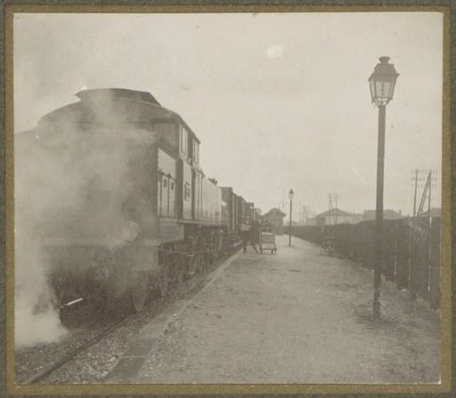 Train on the platform of Maisons-Alfort during the Paris flood