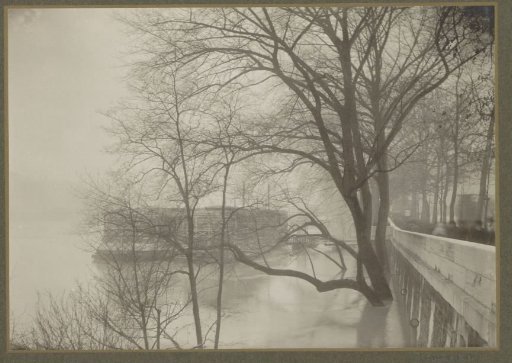 Flooded bank of the Seine with trees, boats and public during the flooding of Paris