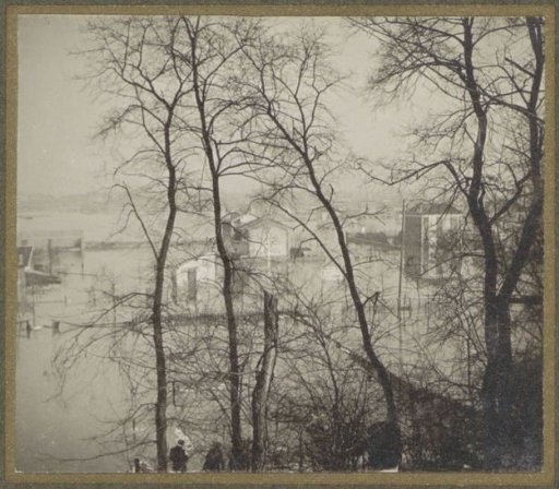 Houses in a flooded suburb of Paris seen through bare trees