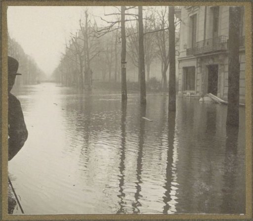 Flooded street with trees, seen from a small boat