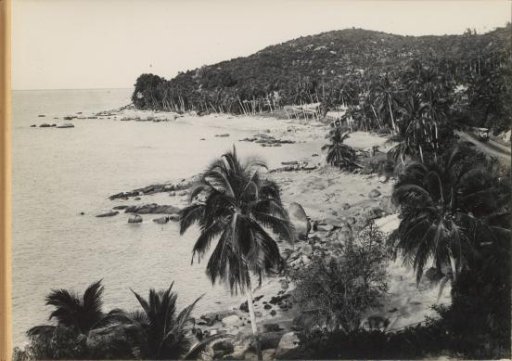 Palm coast viewed from the air, presumably in the Dutch East Indies