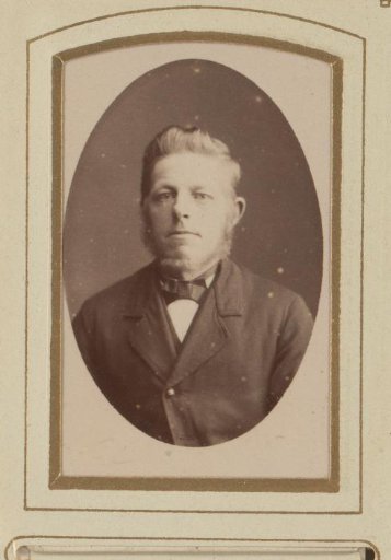 Portrait of a bearded man with a bow tie