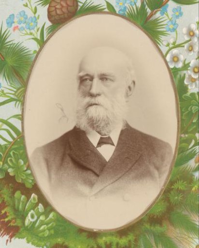 Portrait of a man with a beard