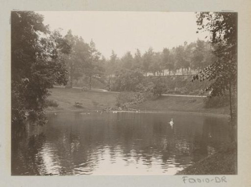 Pond in a park, presumably in Laeken