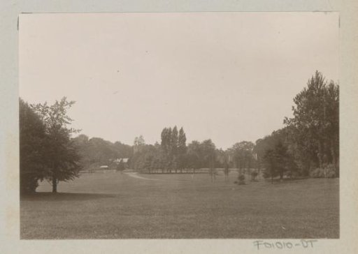Trees in a park, presumably in Laeken
