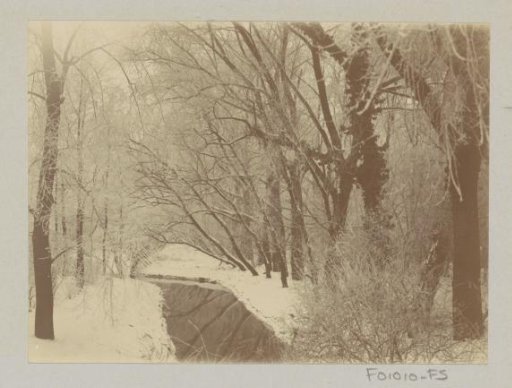 Snow-covered ditch in a park, possibly Amsterdam
