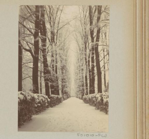 Snow-covered avenue in a park, possibly Amsterdam