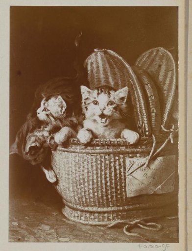 Photographic Reproduction of a Painting with Young Cats in a Basket by Eugène Lambert