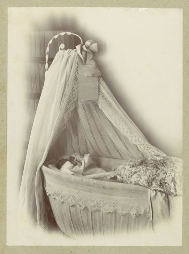 Baby in a cradle with a canopy