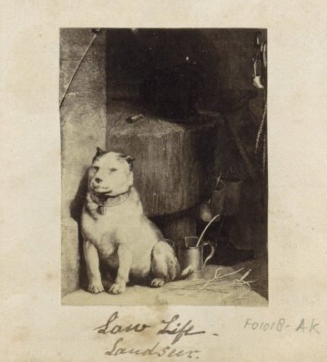 Photographic reproduction of a painting by Edwin Henry Landseer