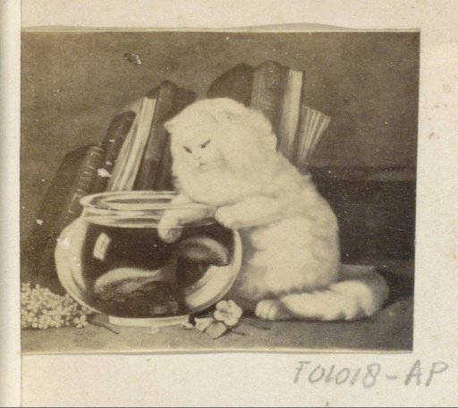 Photographic reproduction of (possibly) a painting with a cat by a fishbowl