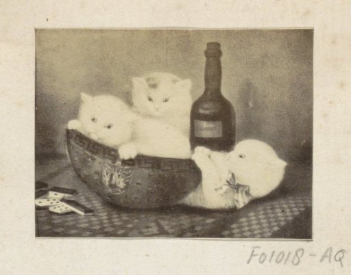 Photographic reproduction of (possibly) a painting with three cats, a cheese and a bottle