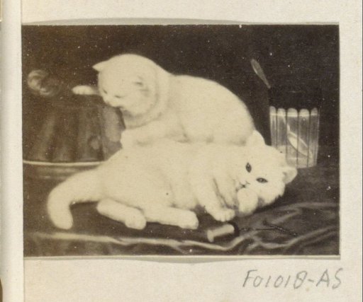 Photographic reproduction of (possibly) a painting with two cats by a cake