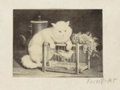 Photographic reproduction of (possibly) a painting with a cat by a birdcage
