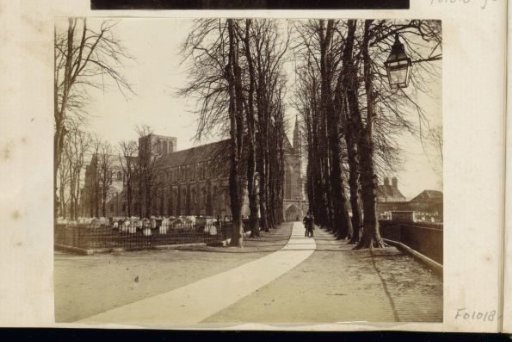 View of the churchyard and Winchester Cathedral, with an avenue in the foreground