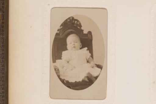 Portrait of Two Toddlers and a Baby