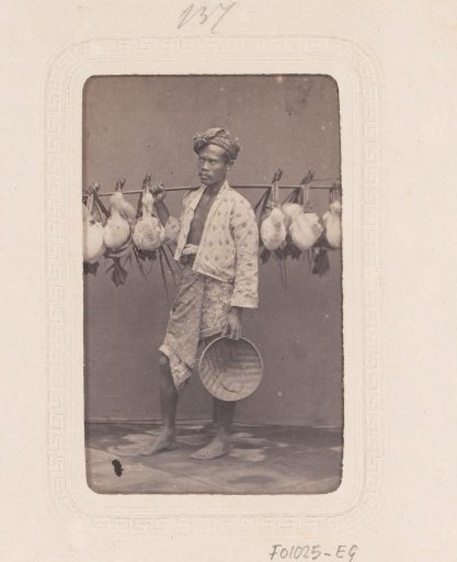 Portrait of an Indonesian man with ducks
