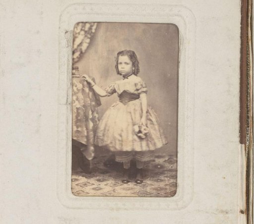 Portrait of a Girl with Flowers