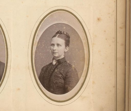 Portrait of a Woman with Braided Hair and a Necklace